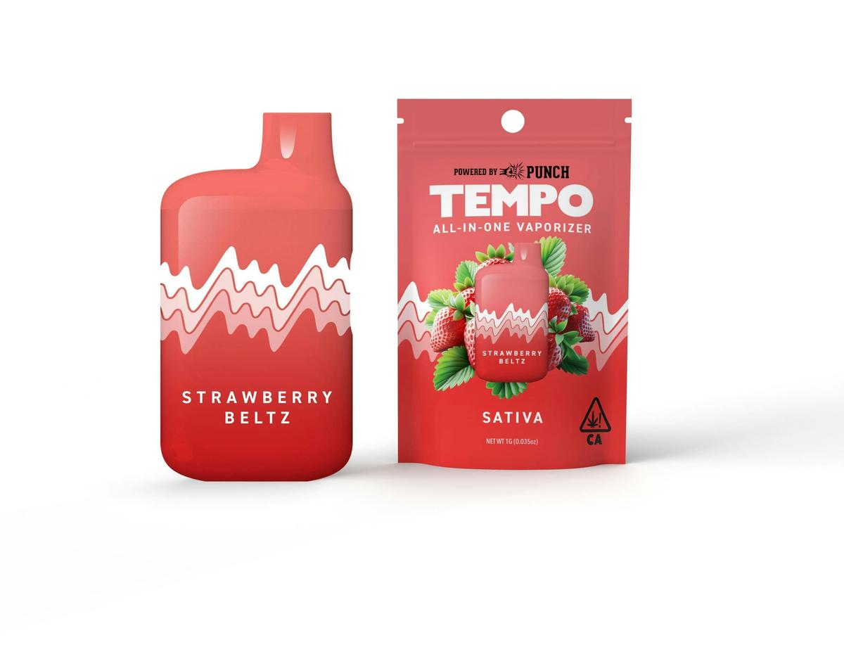 Tempo All in One vaporizer