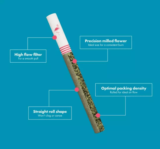 Classic Sativa - 10 Pack thumbnail 2