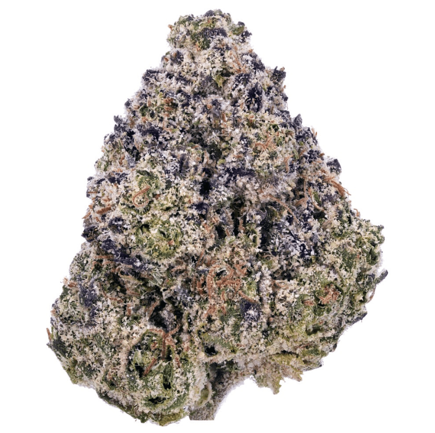 Miracle Alien Cookies - Hybrid