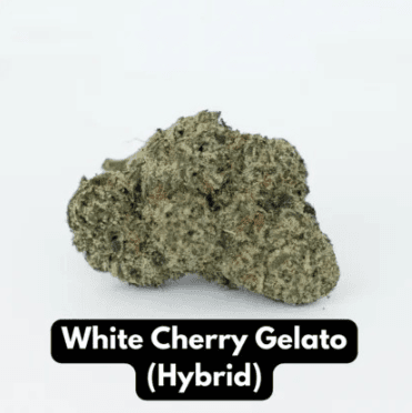 Black Market Cannabis - White Cherry Gelato - (indoor) Hybrid