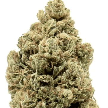 Green Apple Runtz - Sativa