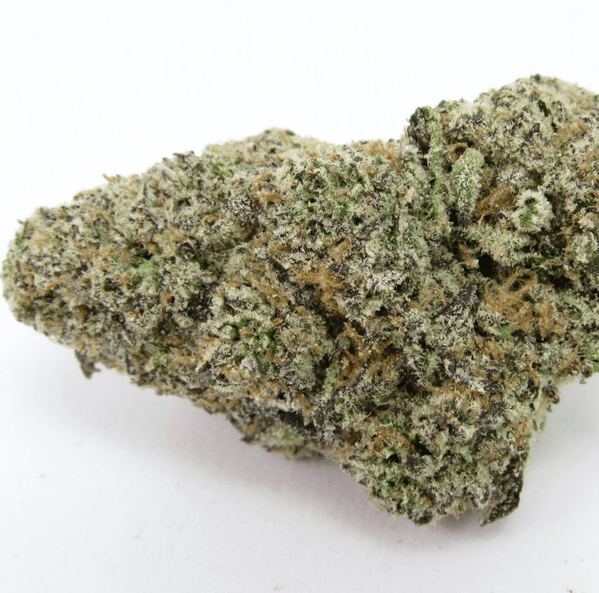 Rainbow Belts - Hybrid