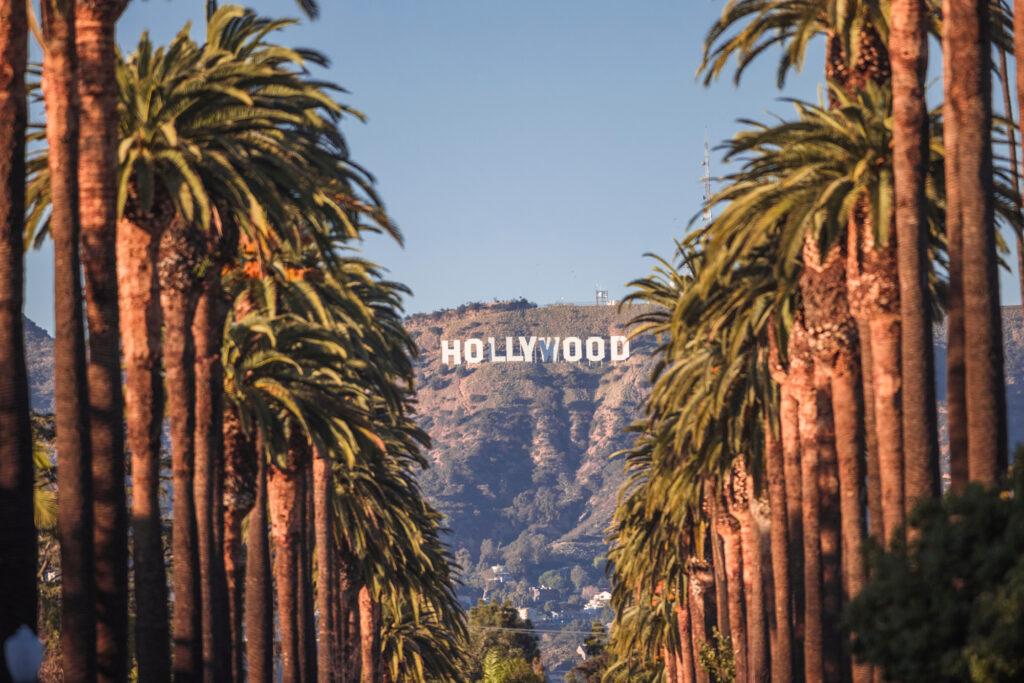 High in the City: How LA Really Buys Weed